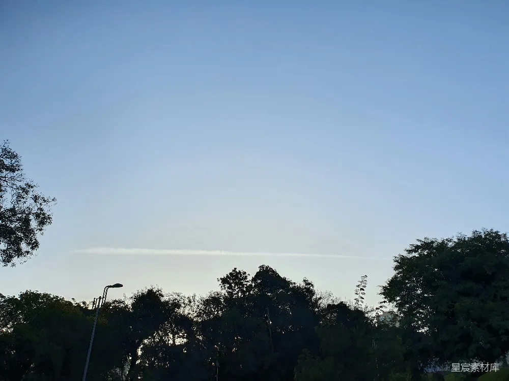 高清摄影 自然 风景 宁静 户外 天空 蓝天下的树影
