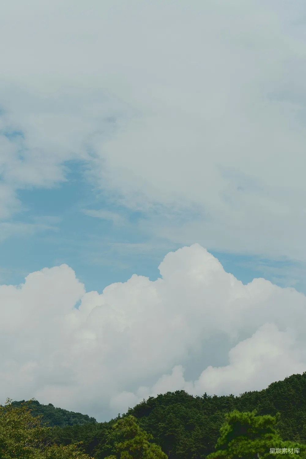 高清摄影 天空 自然 风景 宁静 户外 云海与绿树