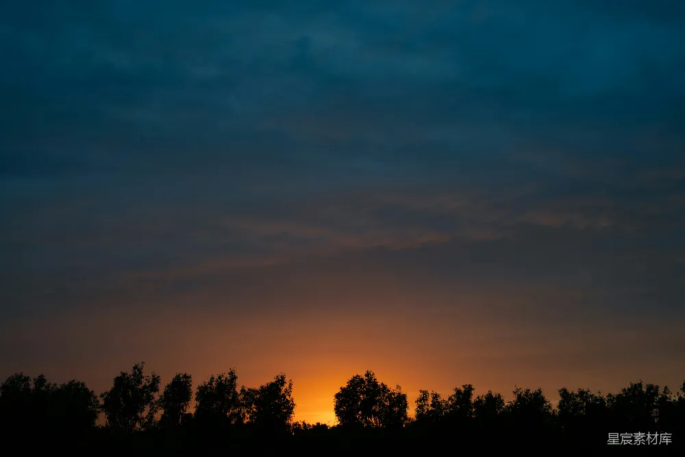 高清摄影 日落 自然景观 宁静 风景 树影 夕阳下的树影