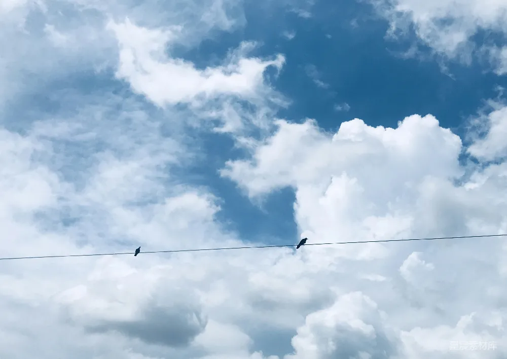 高清摄影 天空 鸟 自然 宁静 户外 蓝天白云下的电线杆与鸟
