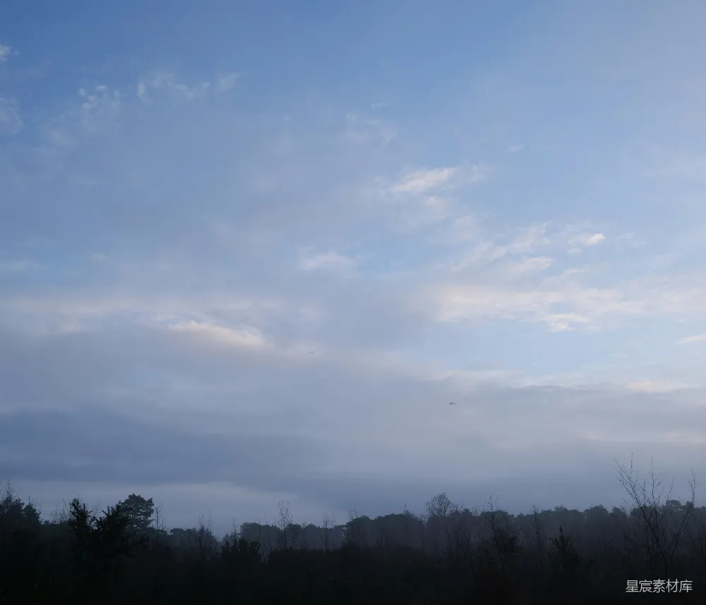 高清摄影 自然 风景 清晨 森林 云层 晨曦中的森林与云层