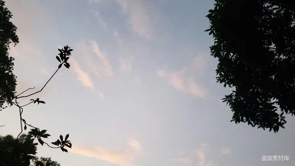 高清摄影 自然风光 宁静 日落 树影 天空 夕阳下的树影