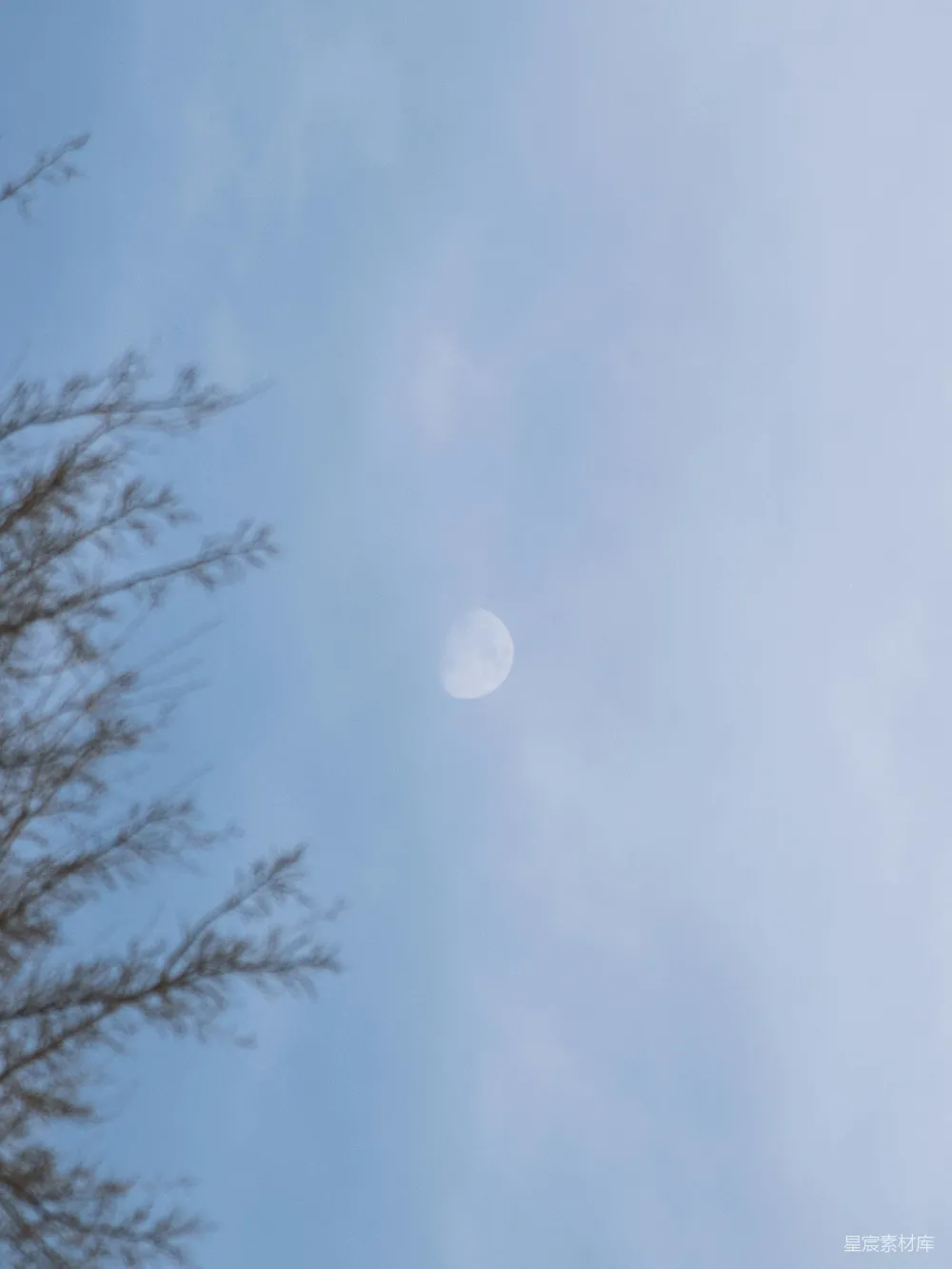 高清摄影 月光 自然 宁静 天空 树枝 天空中的弯月与树枝