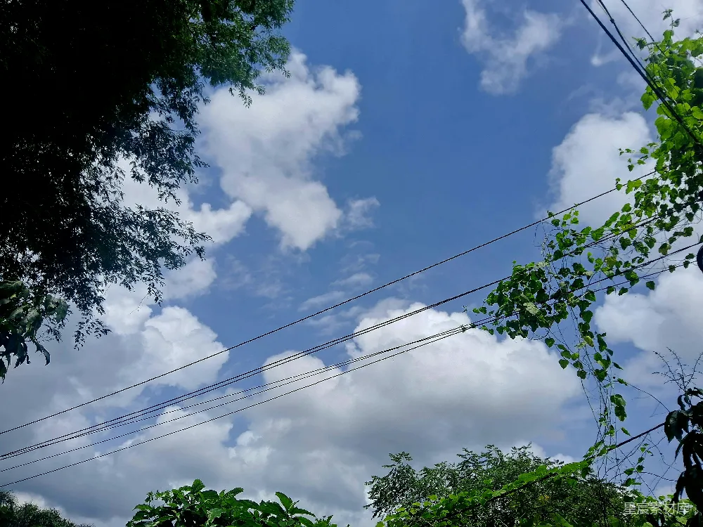 高清摄影 天空 自然 电线 白云 清新 蓝天白云下的自然与电线