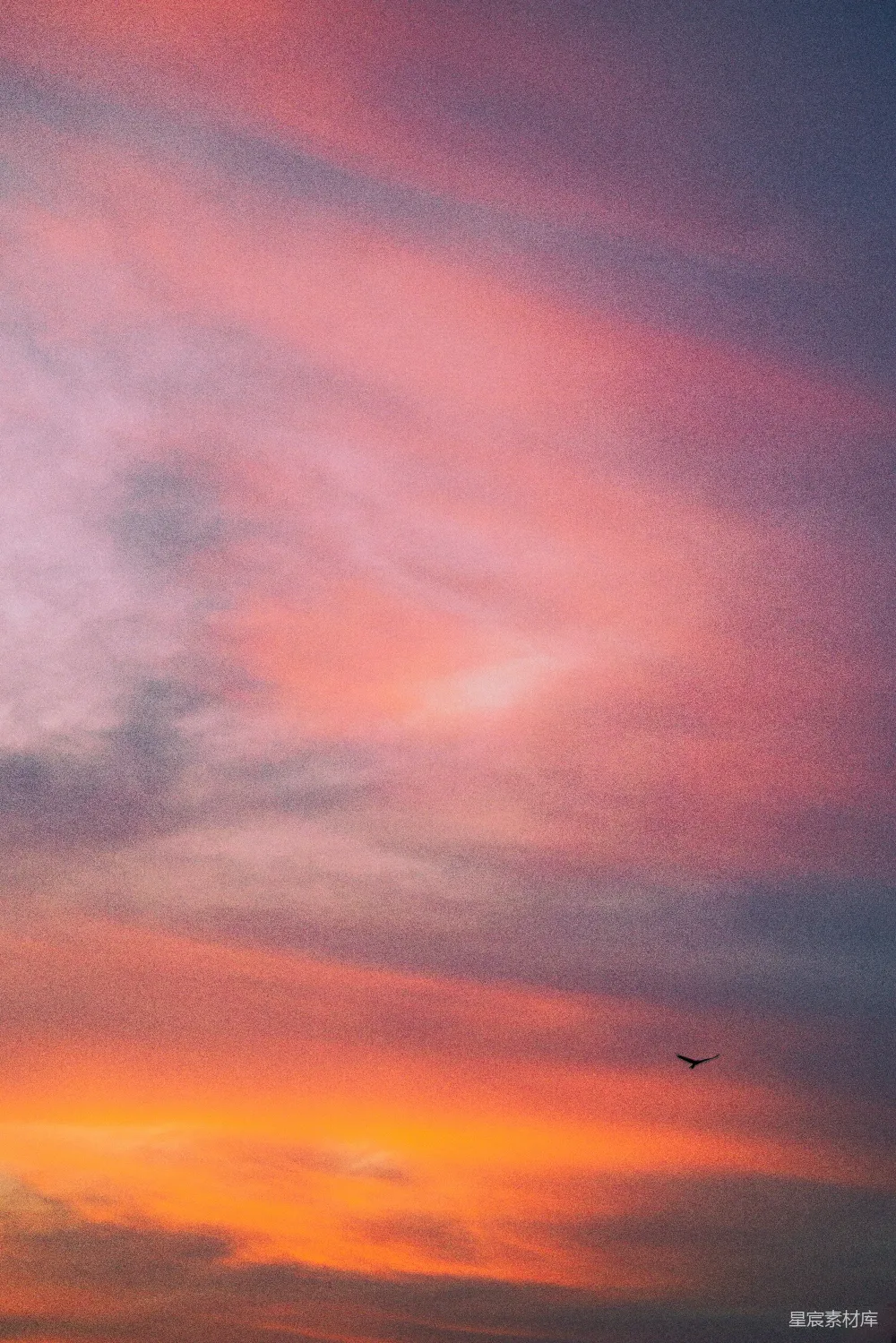 高清摄影 天空 日落 剪影 自然 宁静 夕阳下的剪影