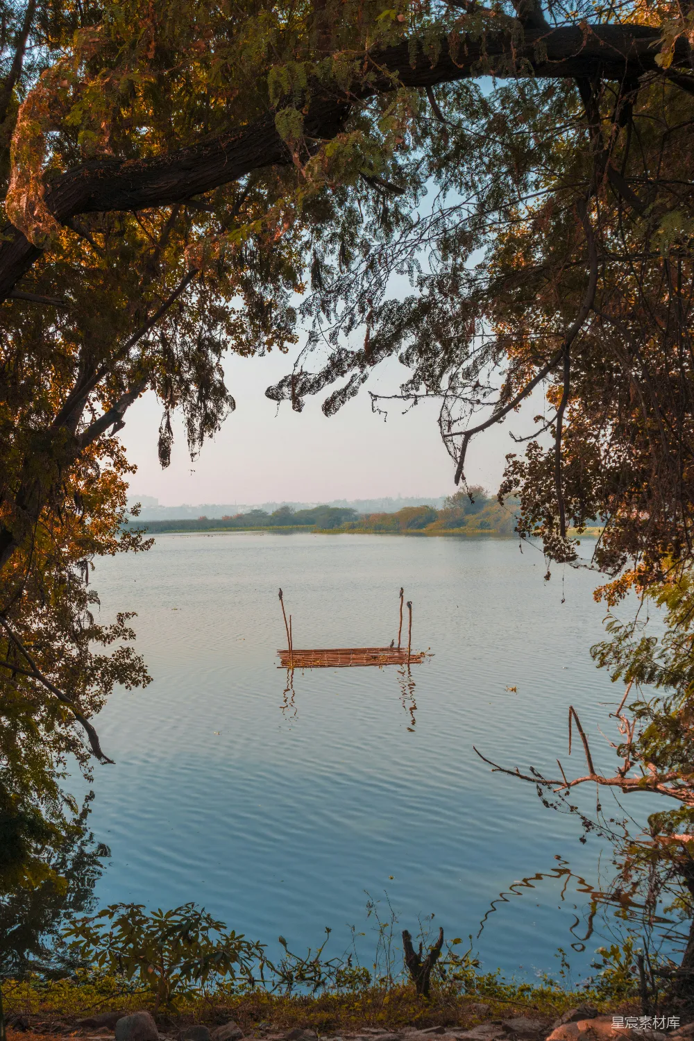 高清摄影 自然风光 秋景 宁静 湖边 秋色 秋日湖畔静谧时光