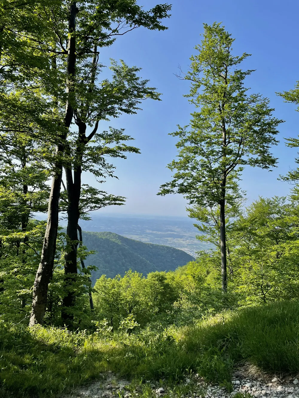高清摄影 森林 户外 自然风光 远眺 山间 山间林道与远眺风光