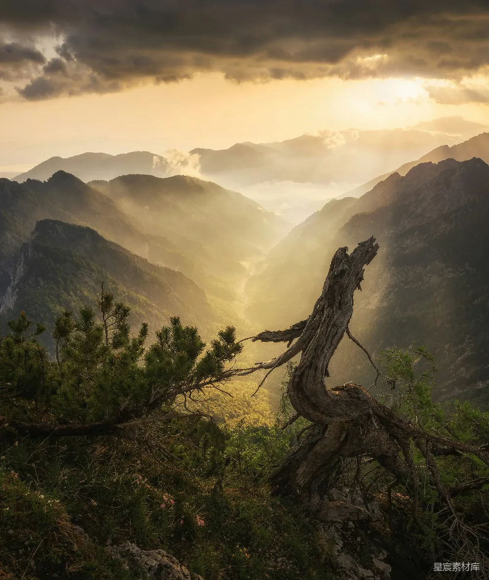 高清摄影 风景 晨光 山脉 自然 宁静 晨光中的山谷