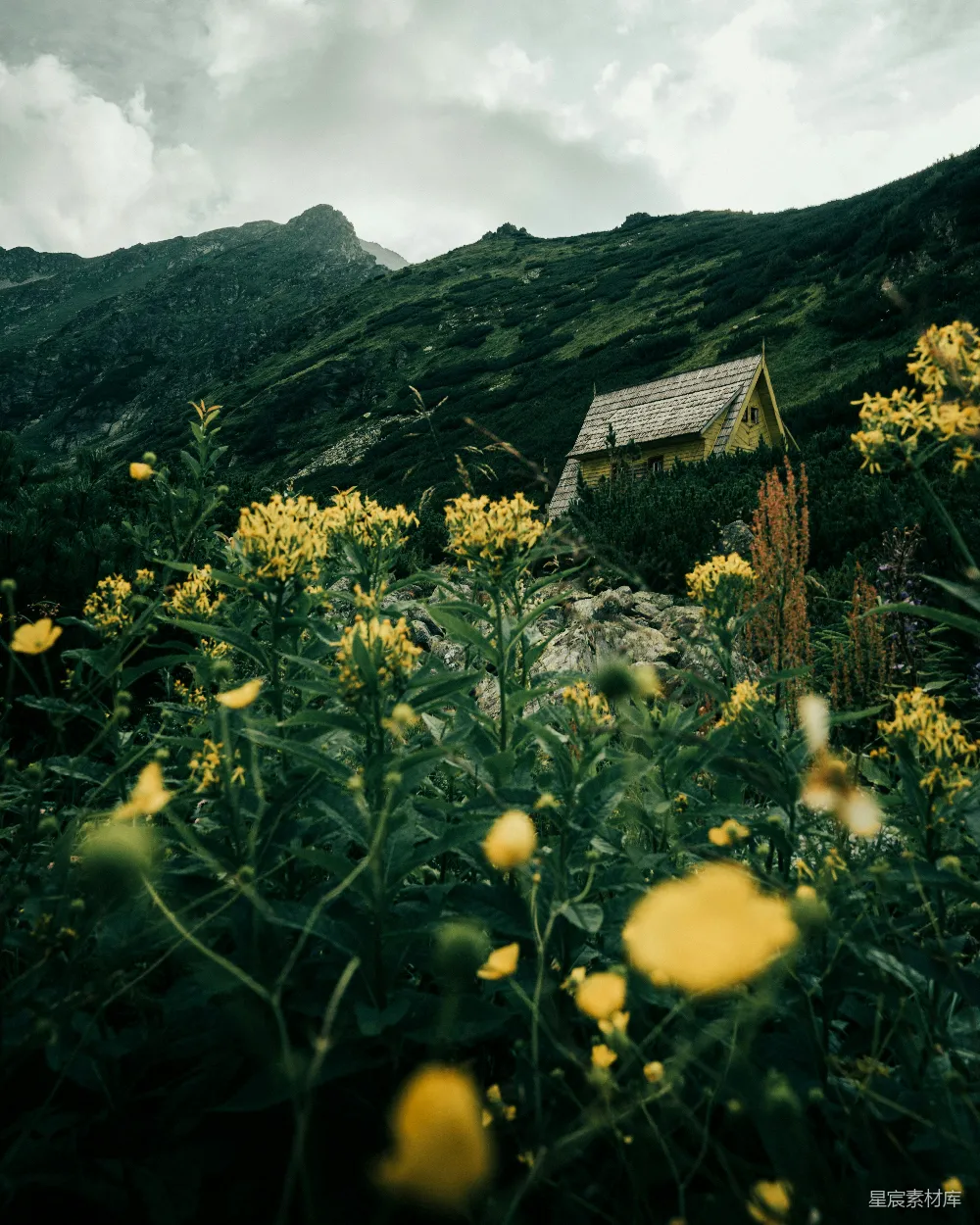 高清摄影 山景 自然 小屋 户外 宁静 山间小屋与野花