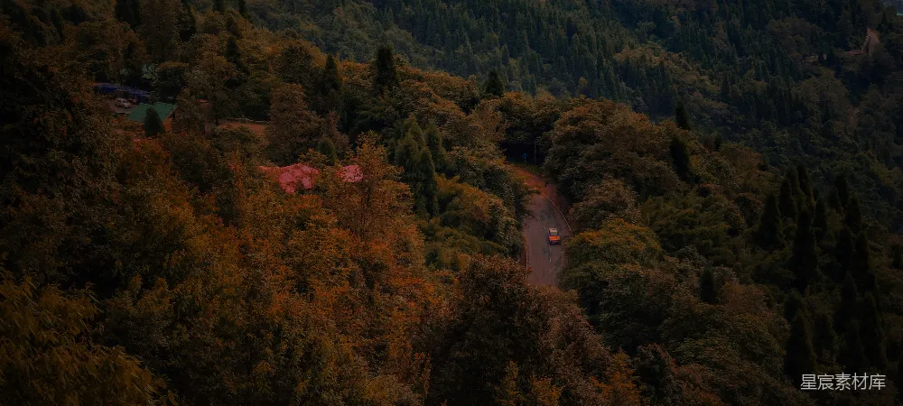 高清摄影 山景 森林 道路 秋天 自然 山间小路的秋景