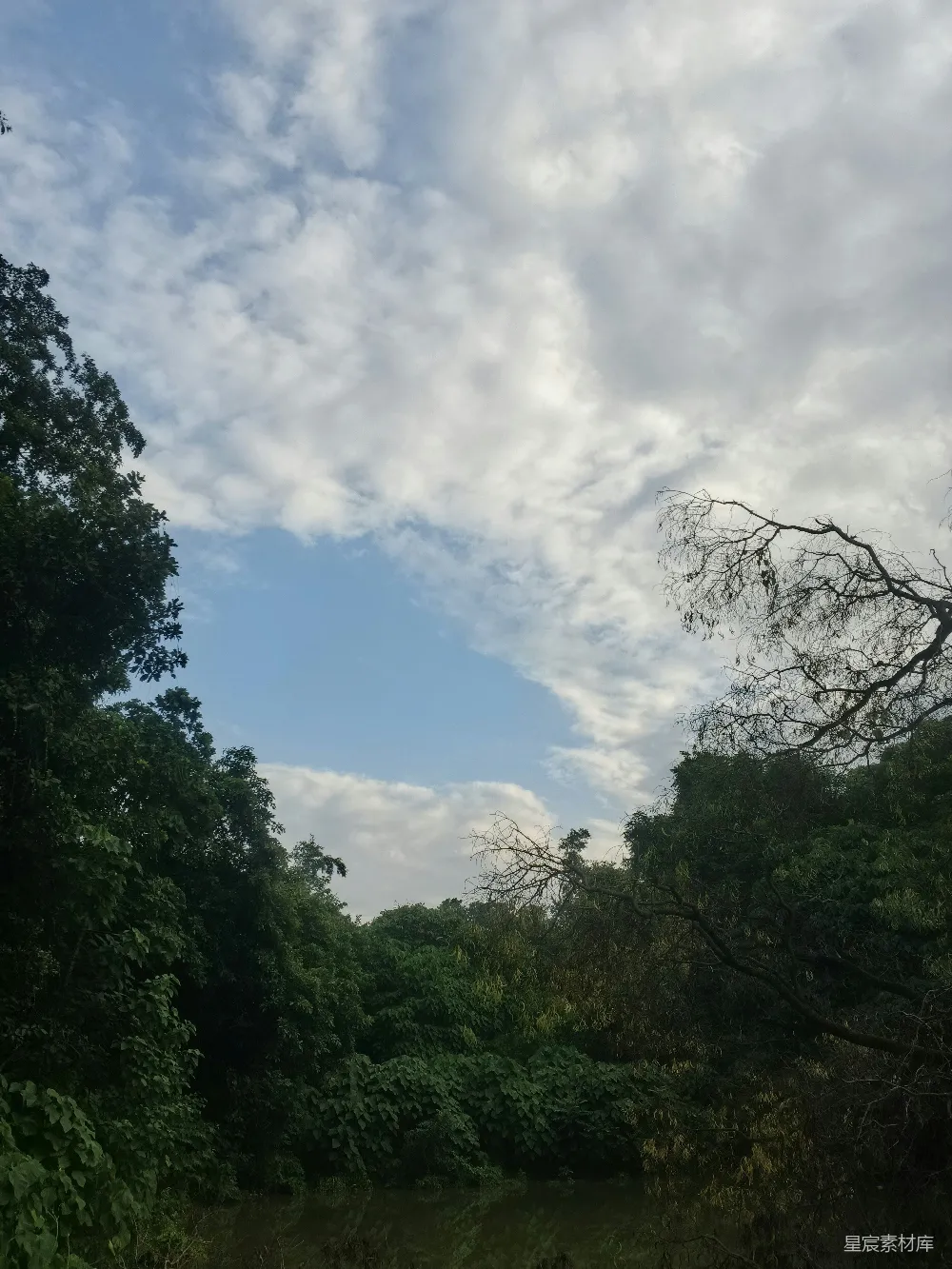高清摄影 云间的宁静森林