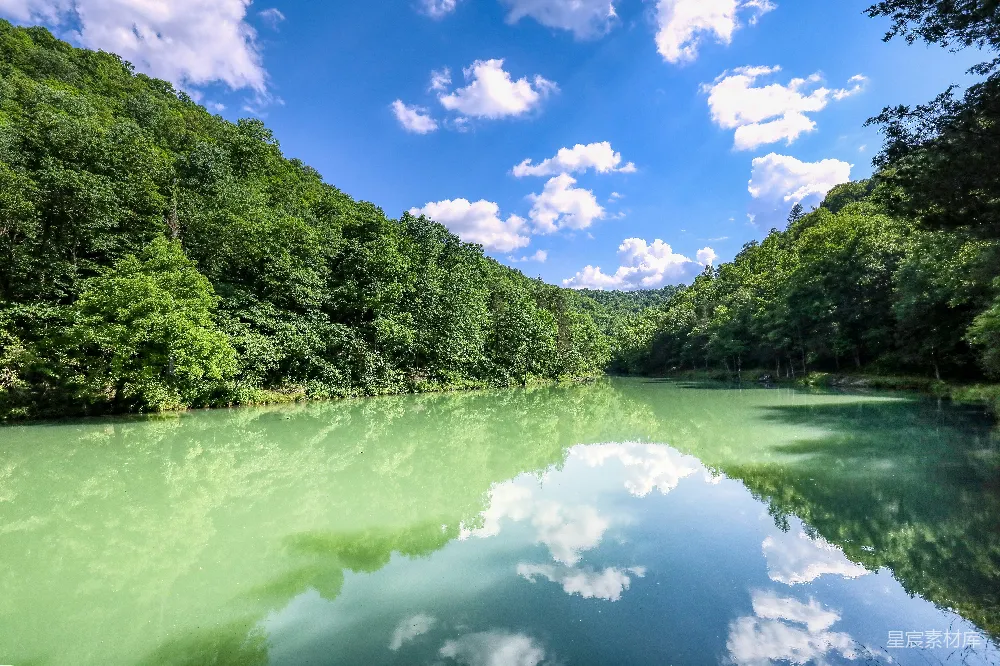 高清摄影 湖景 自然风光 森林 宁静 户外 宁静的湖畔森林