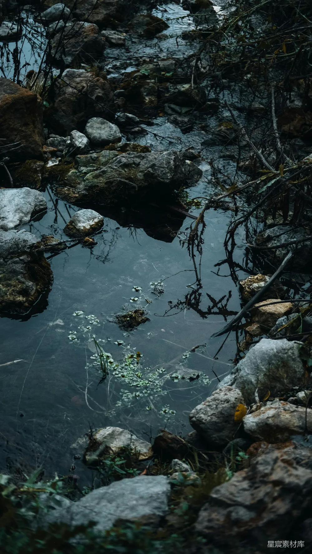 高清摄影 自然 山林 静谧 溪流 岩石 静谧的山间小溪