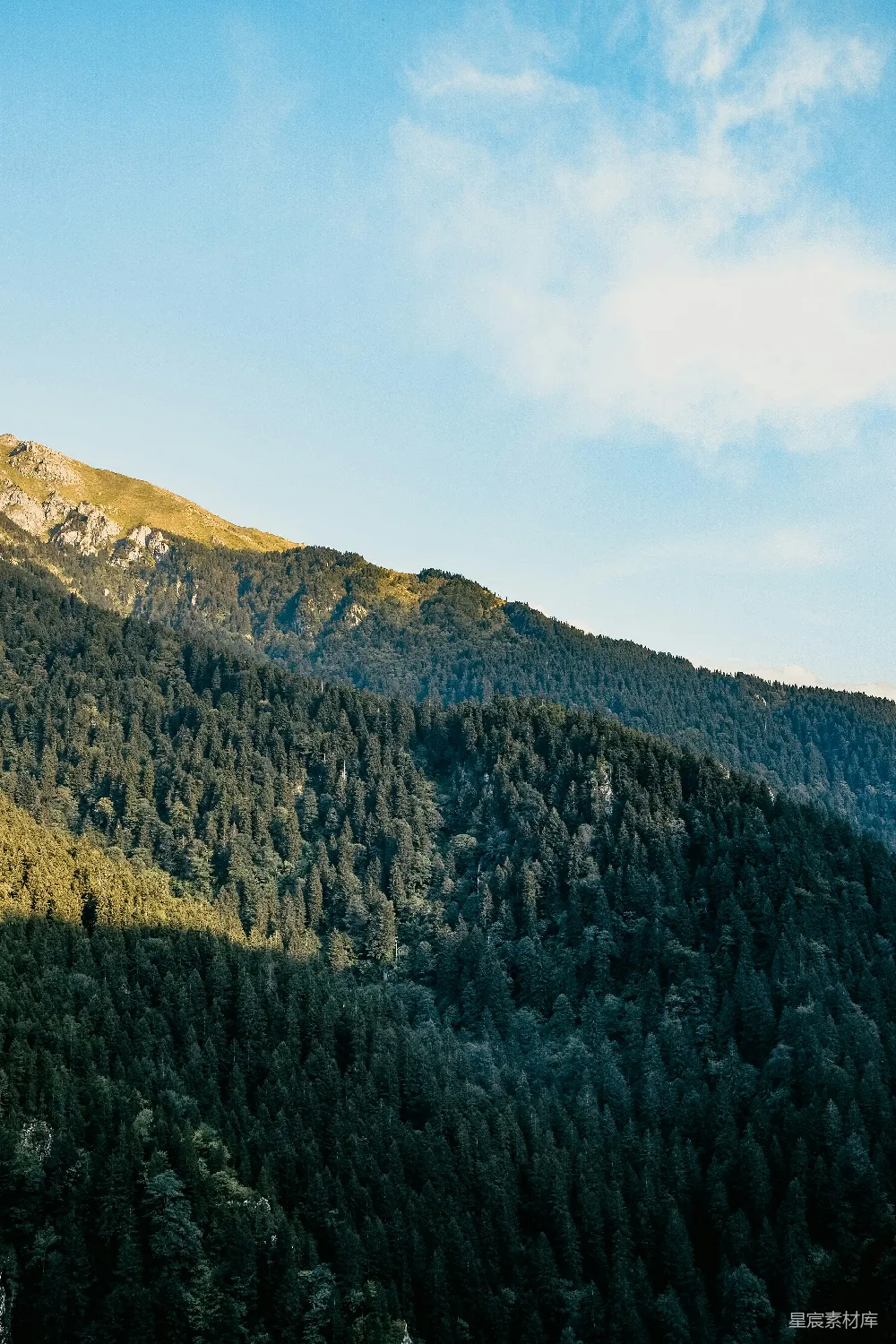 高清摄影 山脉 森林 自然风光 宁静 户外 山间森林的宁静美景