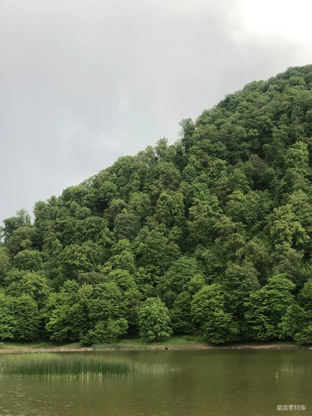 高清摄影 自然风光 湖泊 森林 宁静 户外 湖畔绿意盎然的山景
