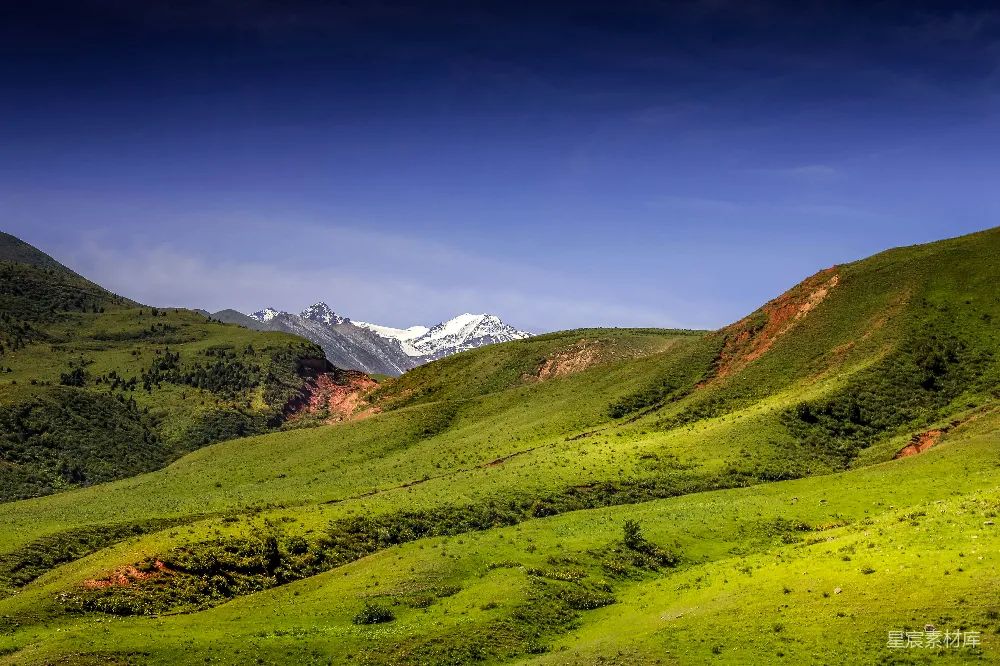 高清摄影 自然风光 雪山 草地 户外 旅行 雪山下的绿草地