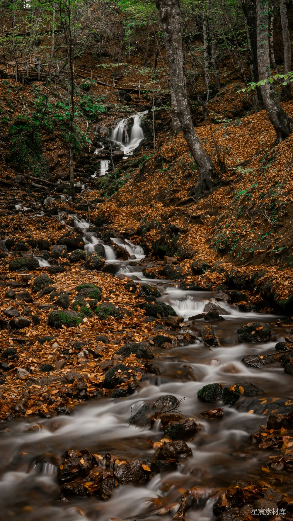 高清摄影 自然风光 秋季 溪流 森林 静谧 秋日山溪