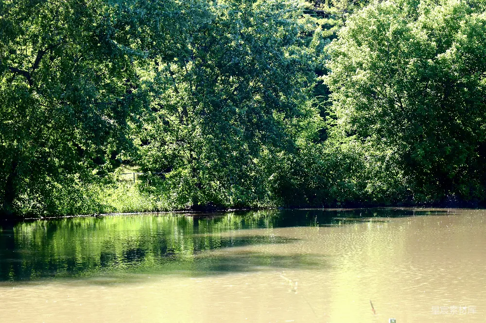 高清摄影 自然 宁静 湖景 夏日 户外 夏日湖畔的宁静时光