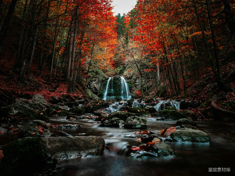 这张图片展示了一个秋天的森林场景，瀑布从岩石上倾泻而下，周围是被秋色染红的树木。地面上覆盖着落叶，营造出一种宁静而美丽的自然氛围。适合用作秋季旅游、自然摄影或秋季主题的背景图片。