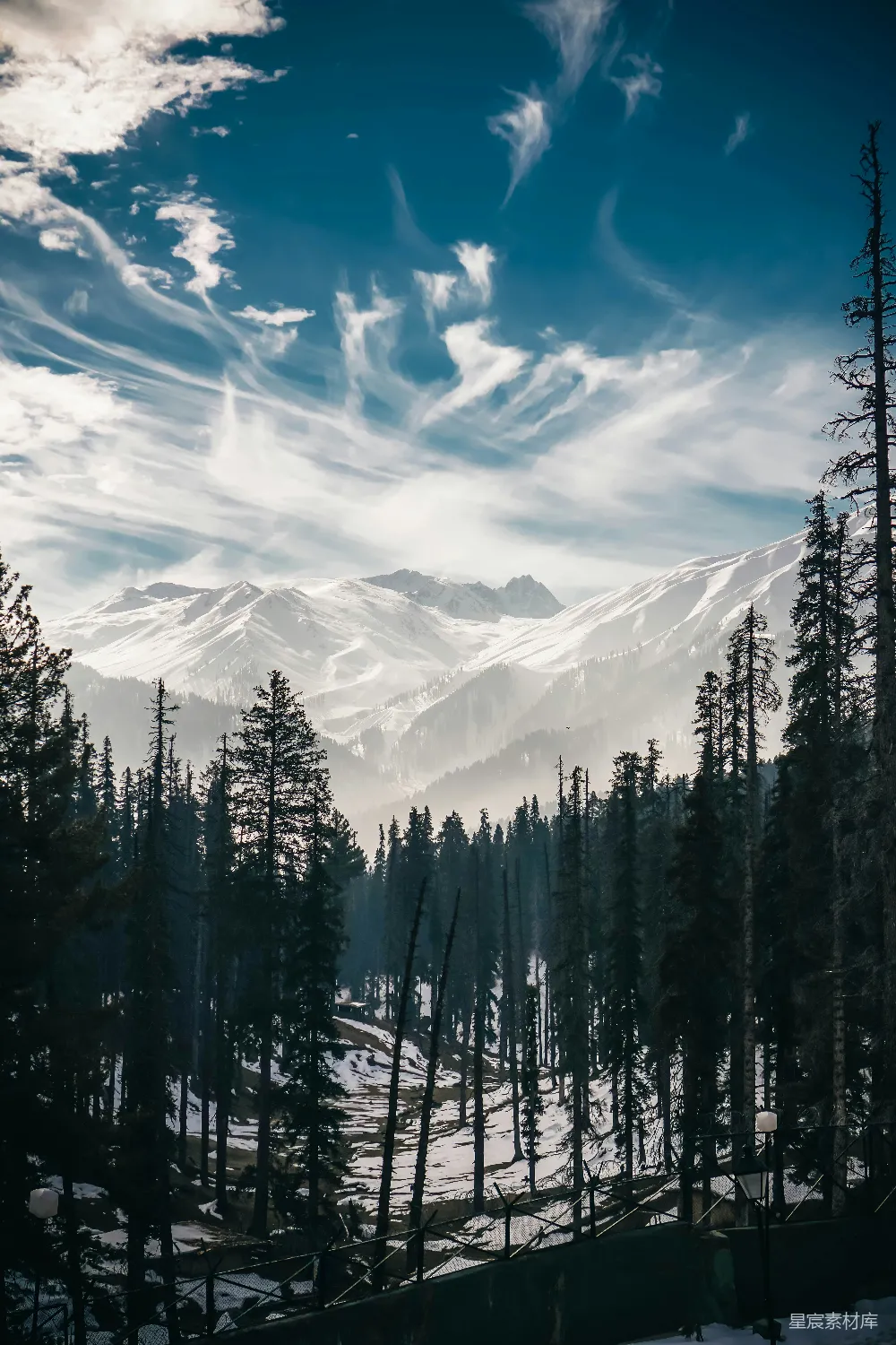 高清摄影 雪山 松林 自然风光 宁静 冬景 雪山下的松林