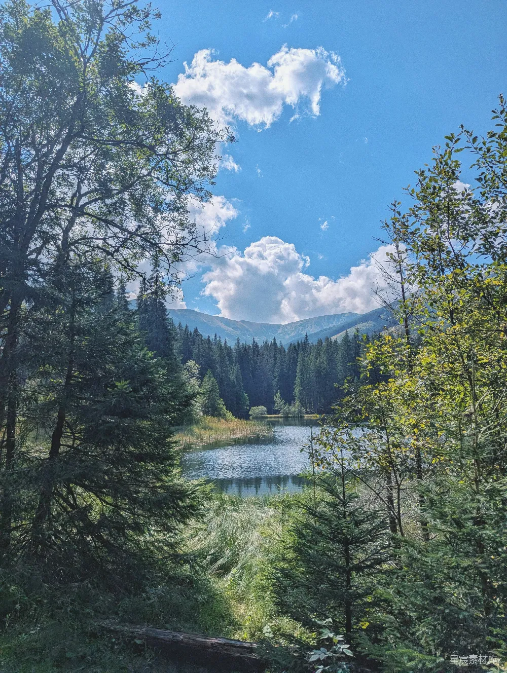 高清摄影 自然风光 宁静 森林 湖泊 户外 森林中的宁静湖景