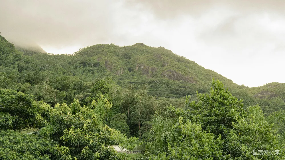高清摄影 热带雨林 山脉 自然风光 生态保护区 户外探险 热带雨林中的山景
