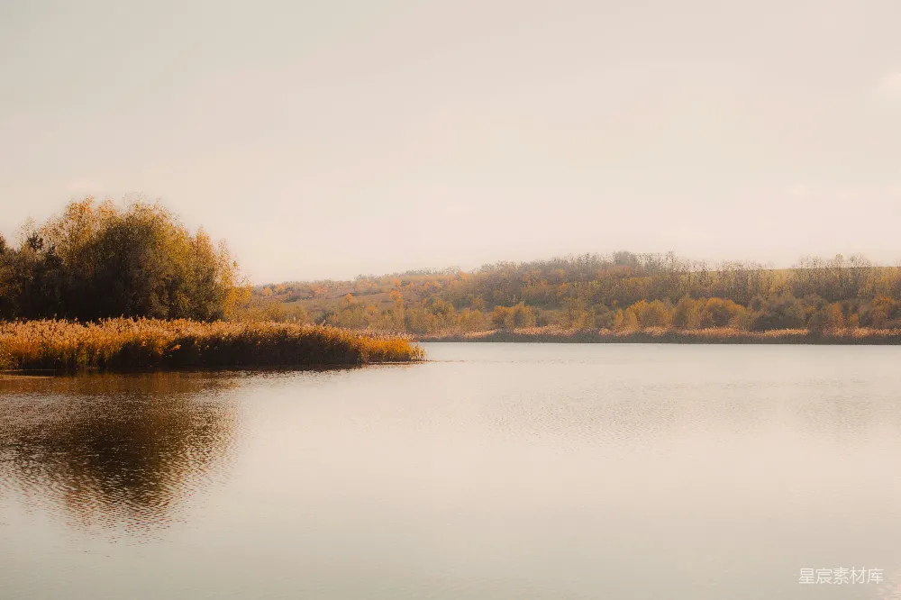 高清摄影 秋景 湖泊 宁静 自然 风景 秋日湖畔宁静时光