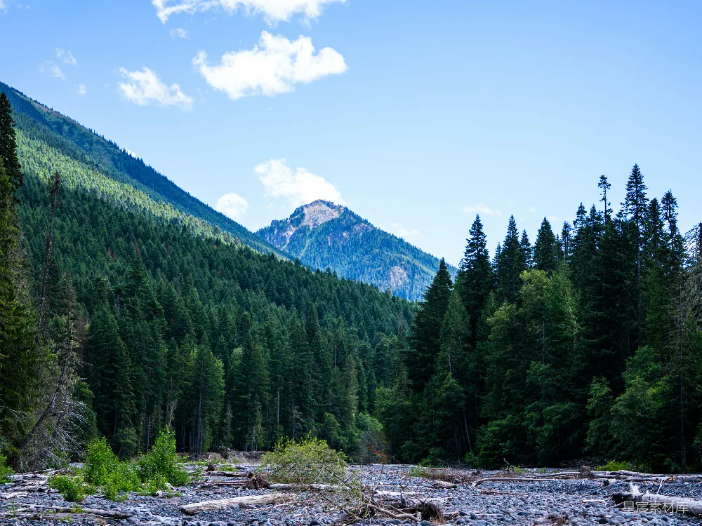 高清摄影 山景 森林 自然风光 户外 宁静 山间静谧的森林