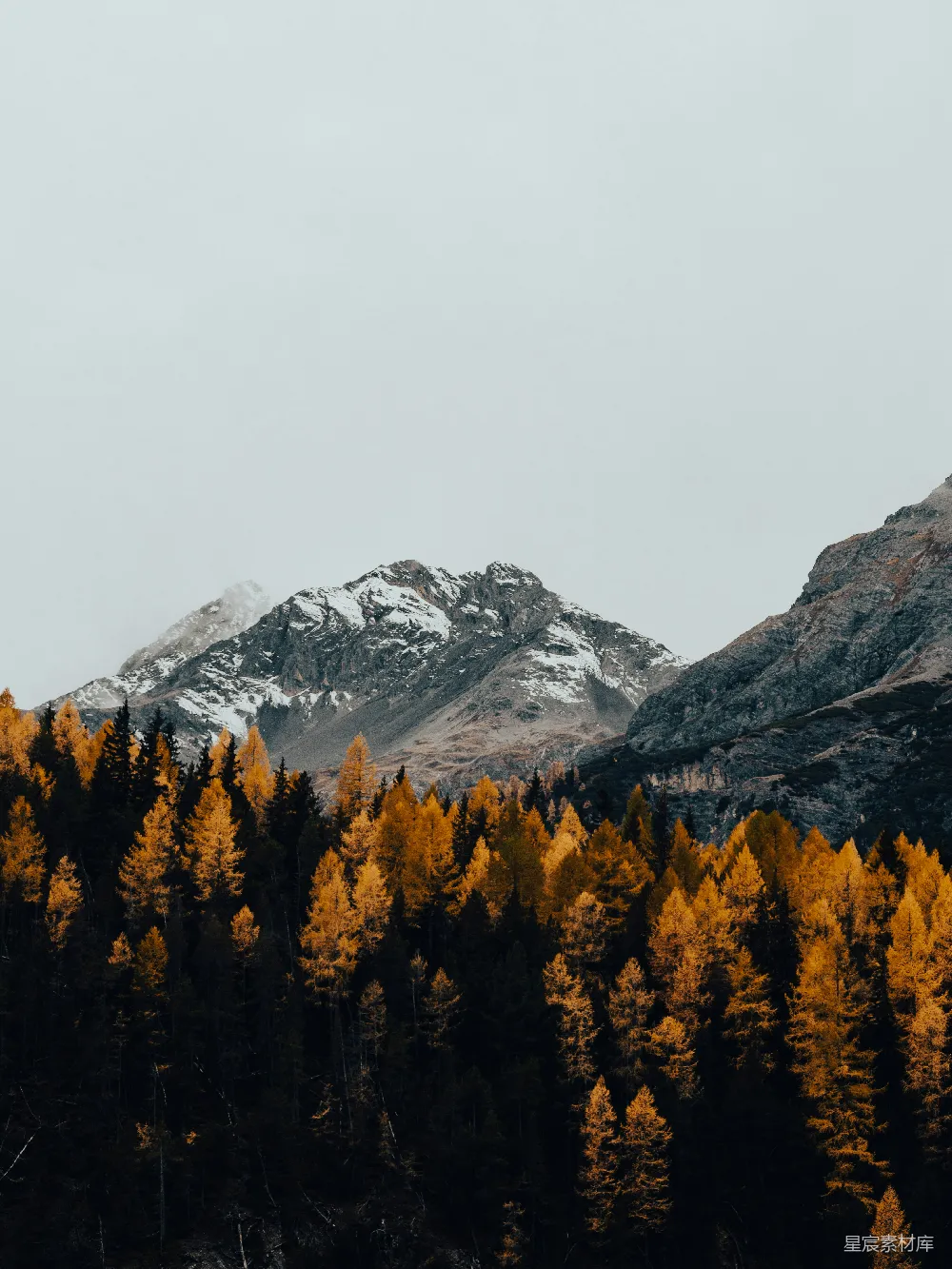 高清摄影 山景 秋季 自然风光 森林 宁静 秋日山林