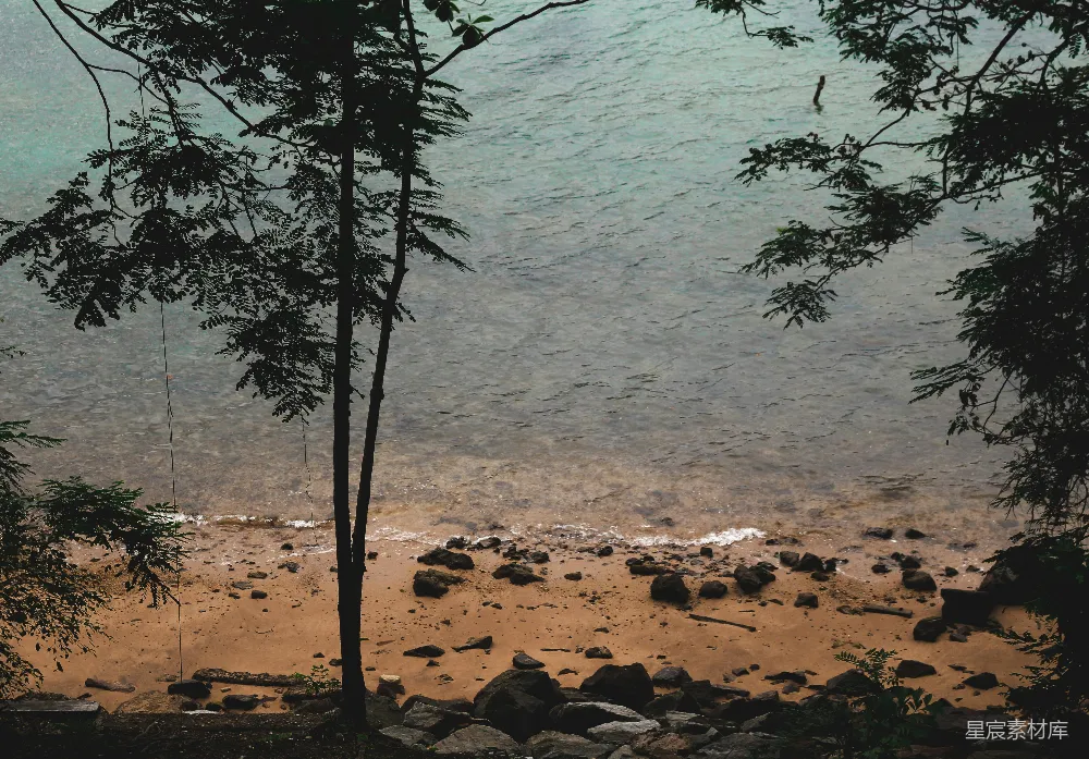 高清摄影 海滩 自然 风景 宁静 户外 丛林中的静谧海滩