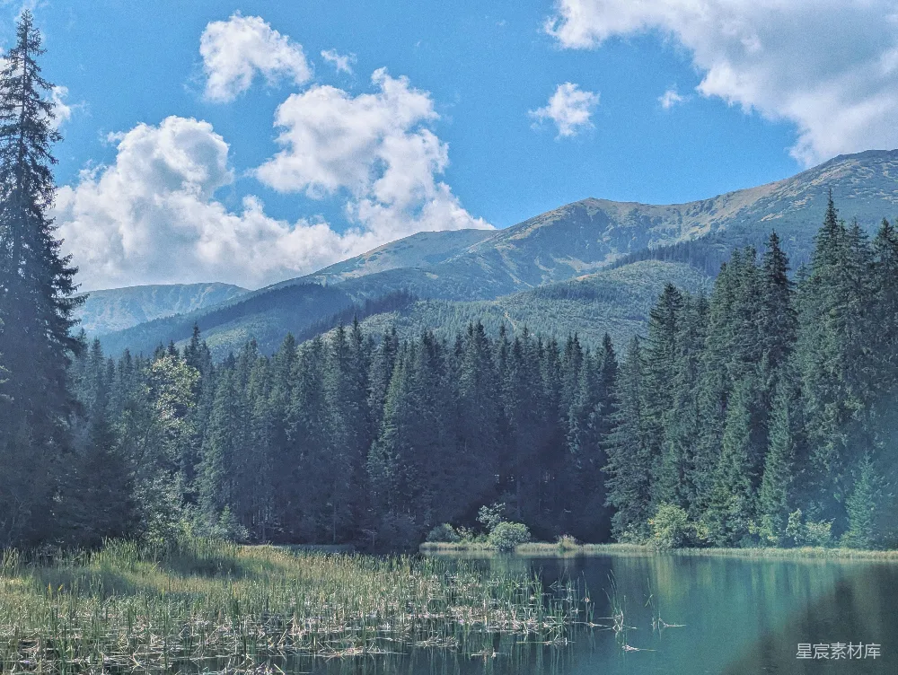 高清摄影 自然风光 宁静 山景 湖泊 森林 静谧的山间湖泊