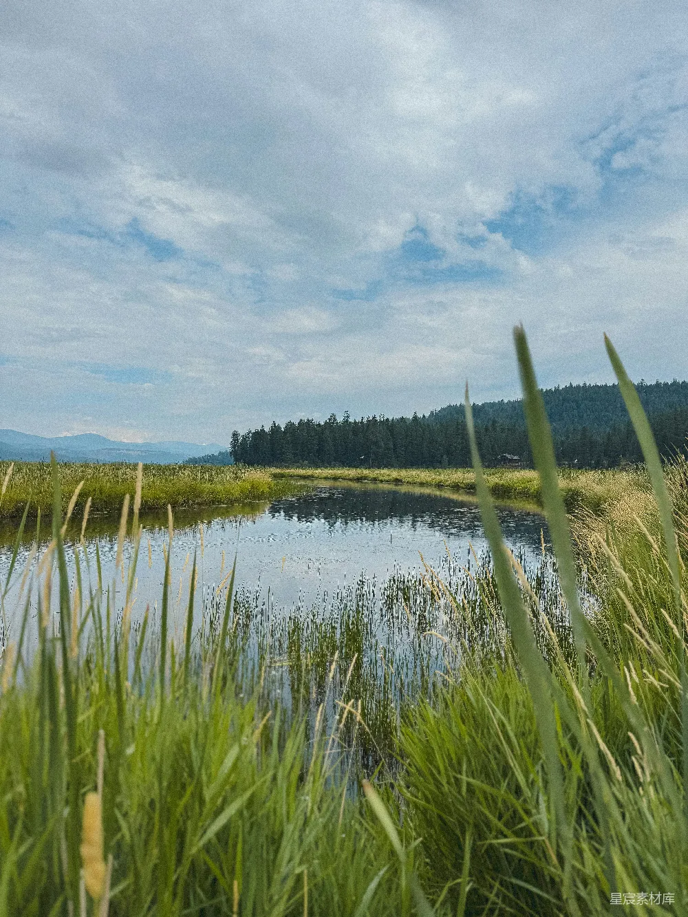 高清摄影 自然风光 宁静 草地 湖泊 户外 宁静的湖畔草地
