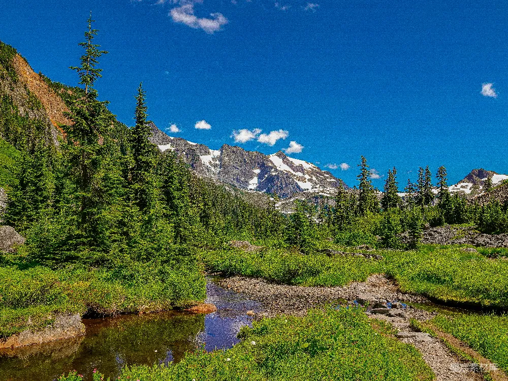 高清摄影 雪山 小溪 自然景观 宁静 户外 雪山下的小溪与绿树