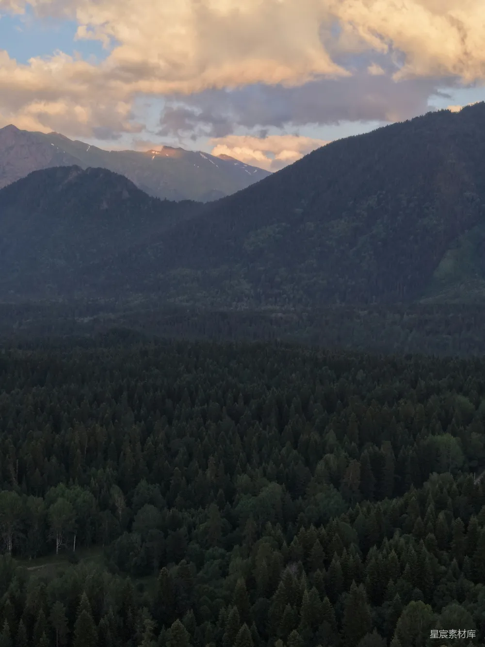 高清摄影 自然风光 森林 山脉 日落 宁静 夕阳下的森林与山脉