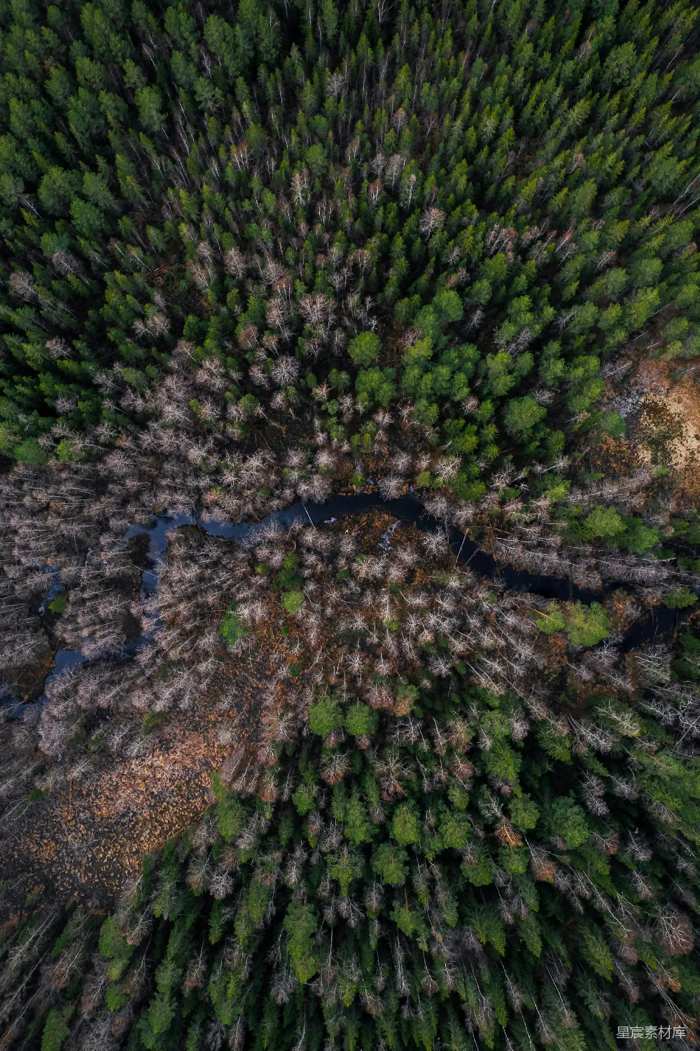 这张图片展示了从高空俯瞰的森林景观，河流蜿蜒穿过林地，形成了独特的自然图案。深绿色的树木与河流的蓝色形成鲜明对比，展现了自然界的壮丽与和谐。图片适合用于自然环保主题的宣传，也可作为风景摄影的素材。