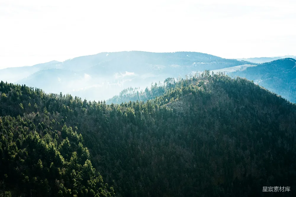 高清摄影 山林 自然风光 清晨 宁静 户外 阳光下的山林