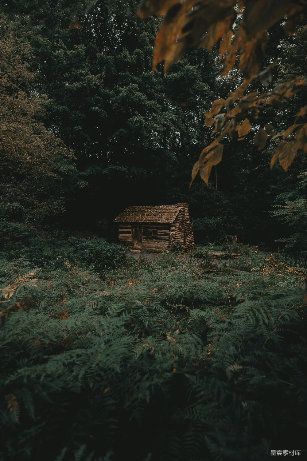 高清摄影 自然 宁静 隐居 乡村 风景 森林中的小木屋