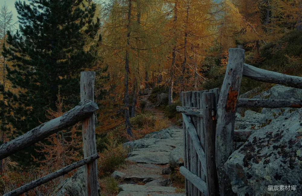 高清摄影 秋景 自然风光 森林 徒步旅行 户外 秋日森林中的石阶与木栅栏