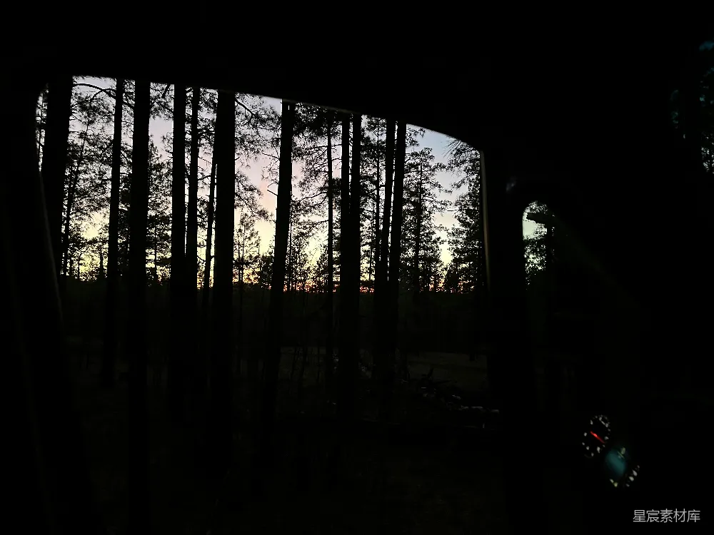 透过车窗拍摄的窗外景象，夕阳的余晖洒在茂密的森林中，树木的剪影在车窗上投下斑驳的光影，营造出一种宁静而神秘的氛围。适合用作旅行或自然主题的背景图片。