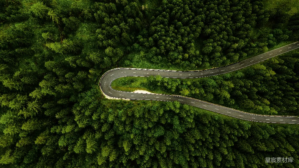 高清摄影 森林 道路 航拍 自然 风景 蜿蜒森林中的道路