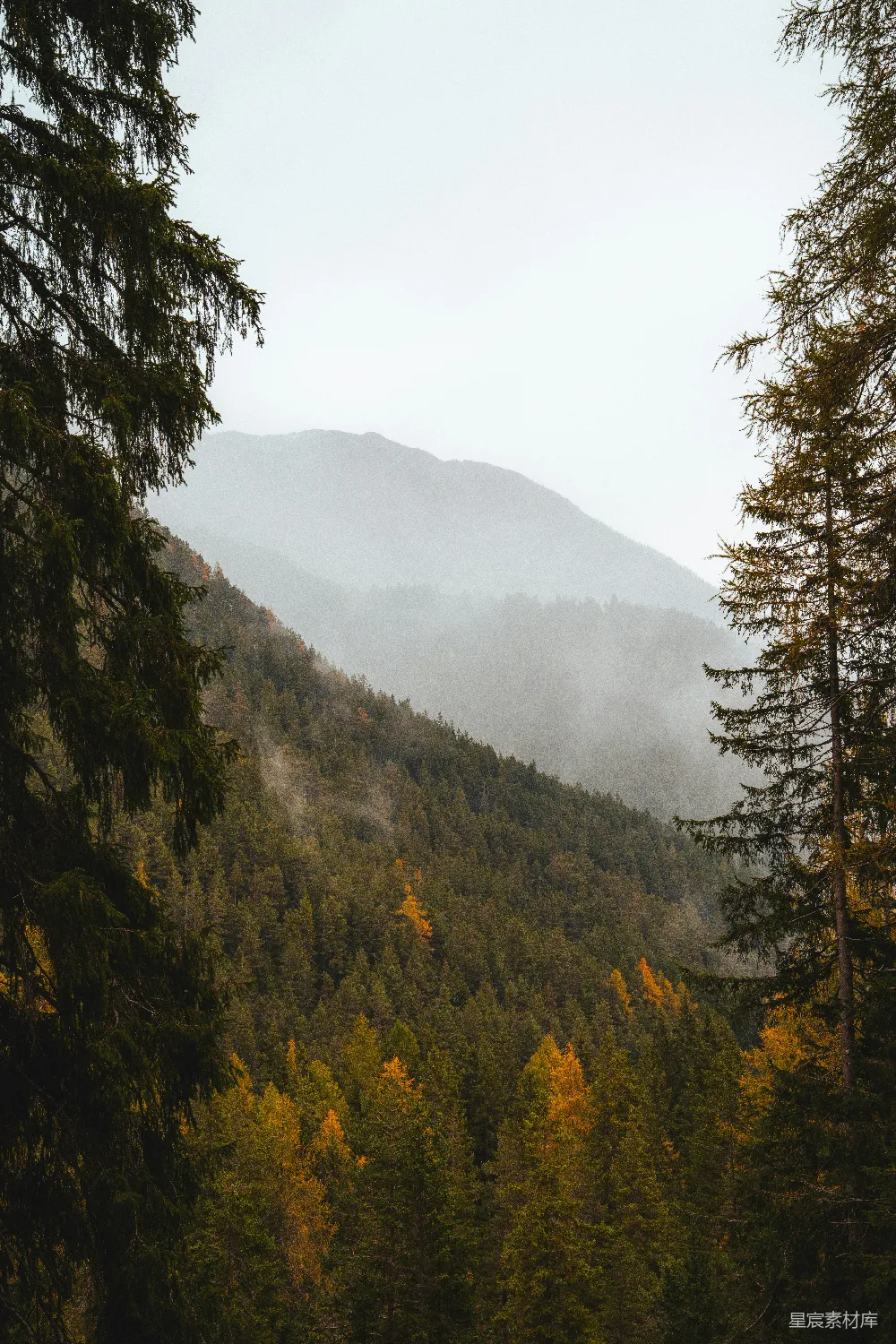 高清摄影 山谷 树木 自然 宁静 秋景 雾蒙蒙的山谷