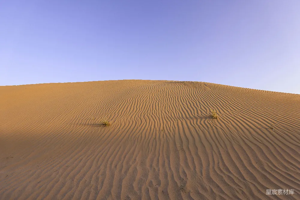 高清摄影 沙漠 自然 纹理 宁静 风景 沙漠的纹理与宁静