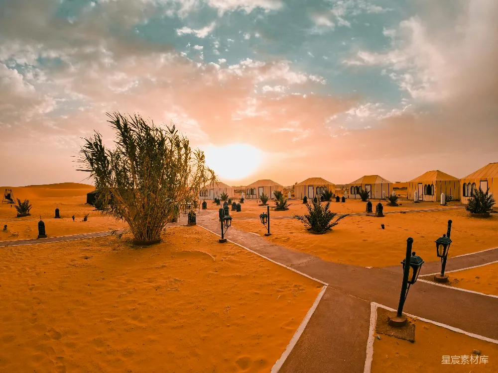 这张图片展示了一个位于沙漠中的帐篷营地，夕阳的余晖洒在帐篷和周围的沙地上，营造出一种宁静而美丽的氛围。帐篷排列整齐，周围点缀着几株绿色植物，增添了生机。地面上的灯光柱为夜晚的露营活动提供了照明。整个场景非常适合喜欢探索自然和户外露营的旅行者