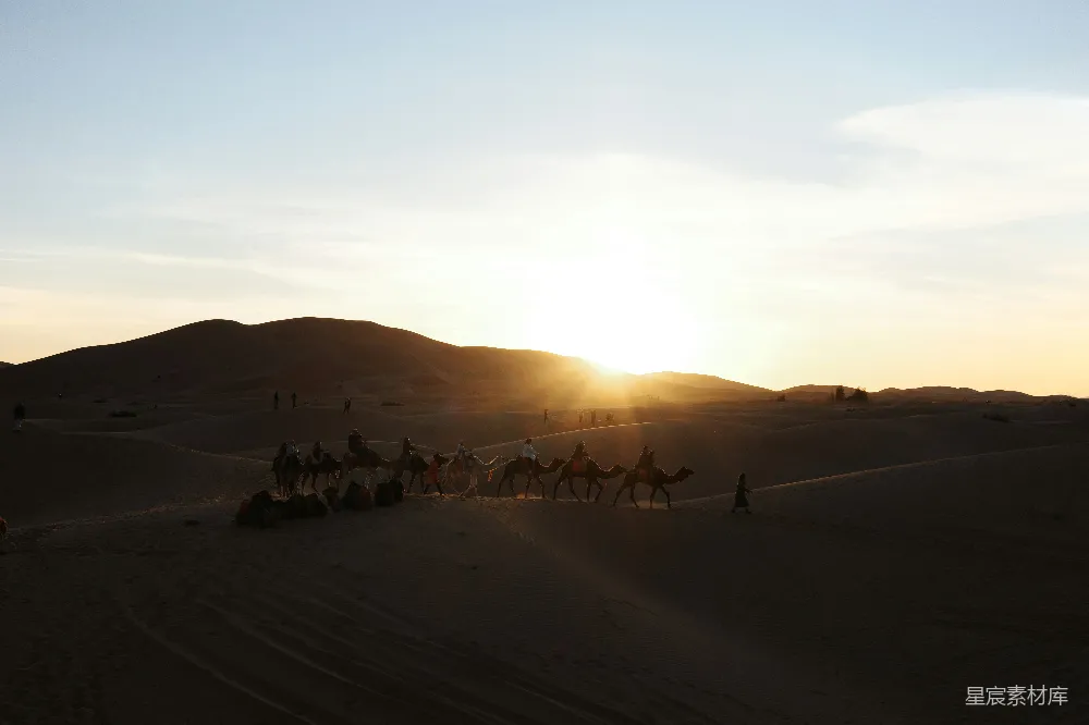 高清摄影 沙漠 驼队 夕阳 自然风光 旅行 夕阳下的沙漠驼队