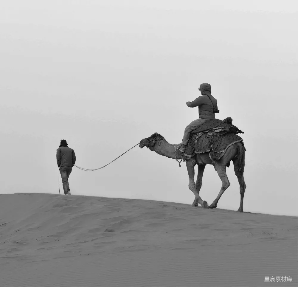 高清摄影 沙漠 驼铃 人与自然 黑白色调 旅行 沙漠中的驼铃