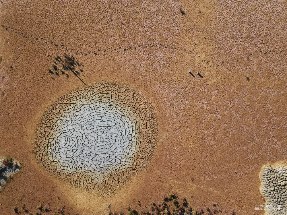 高清摄影 自然 纹理 干裂 地貌 自然景观 干裂的泥地纹理