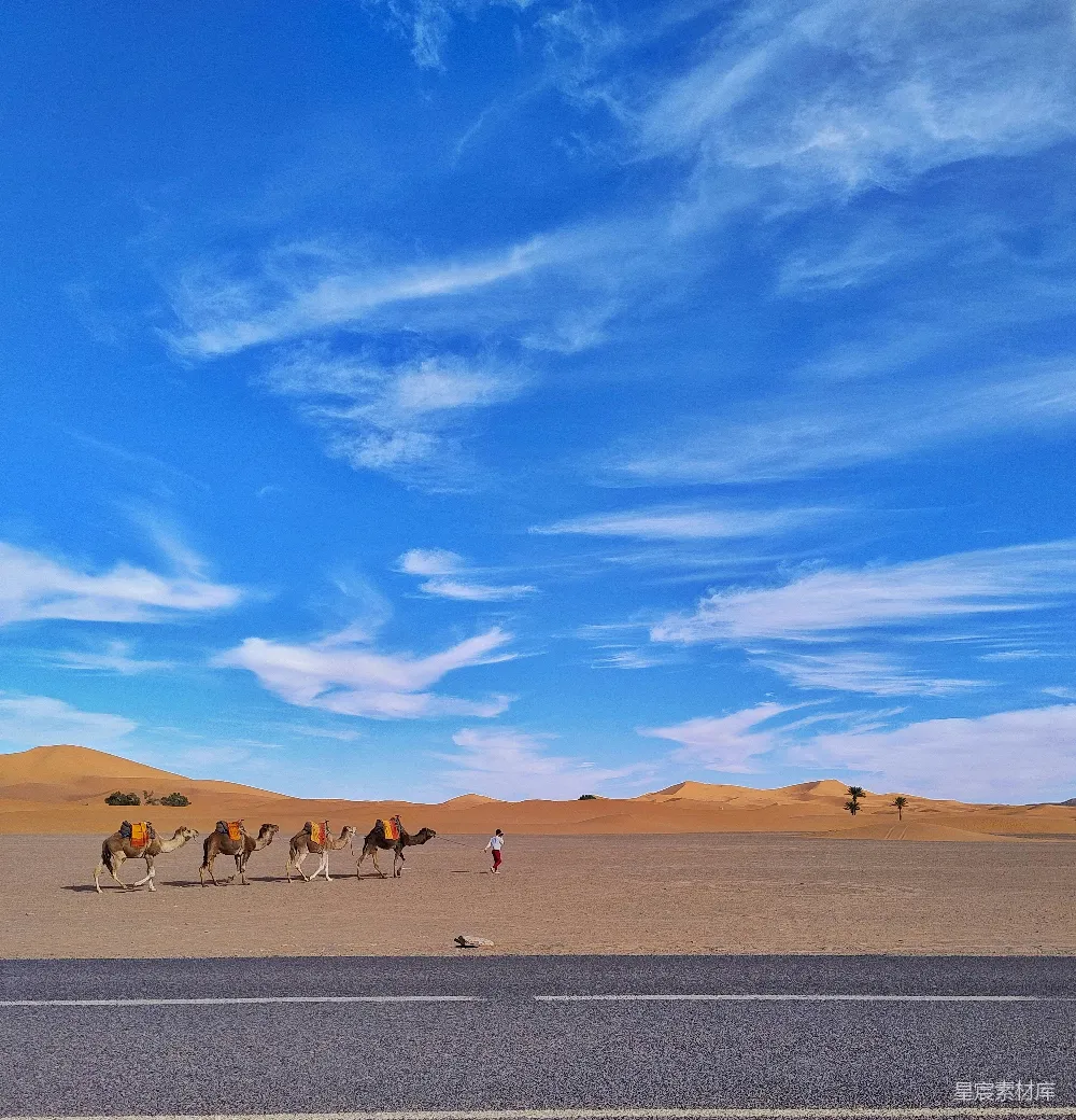 高清摄影 沙漠 驼队 旅行 自然风光 户外 沙漠中的驼队
