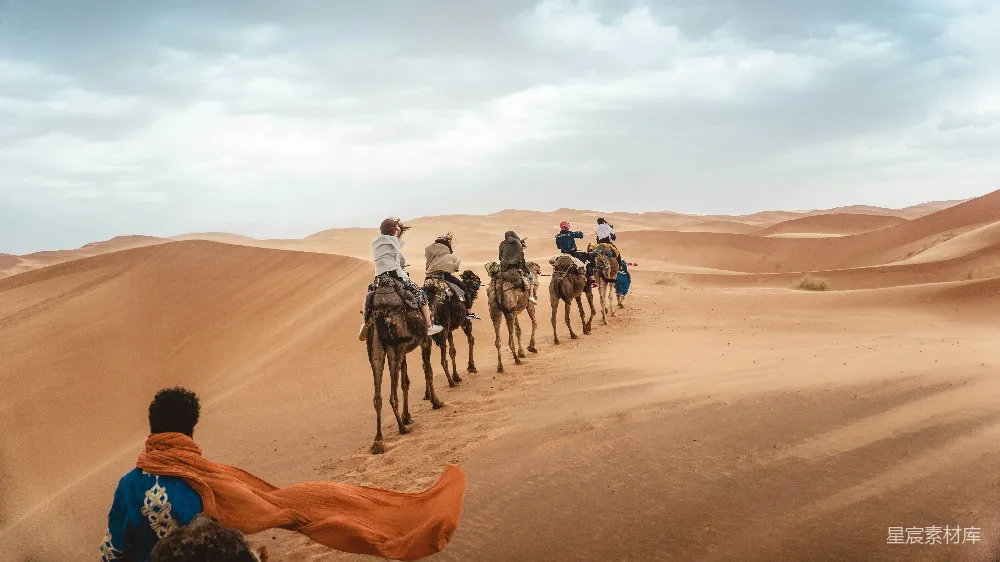 高清摄影 沙漠 骆驼 旅行 自然景观 户外活动 沙漠骆驼骑行