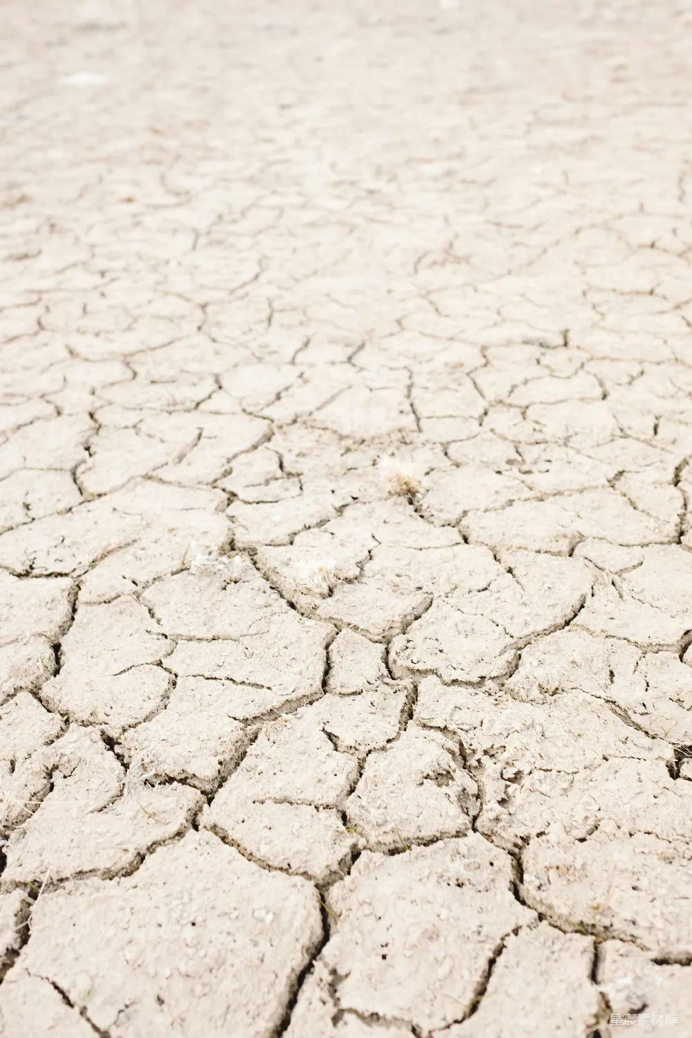 高清摄影 干裂地面 自然景观 干旱环境 生态环境 环境保护 干裂的地面