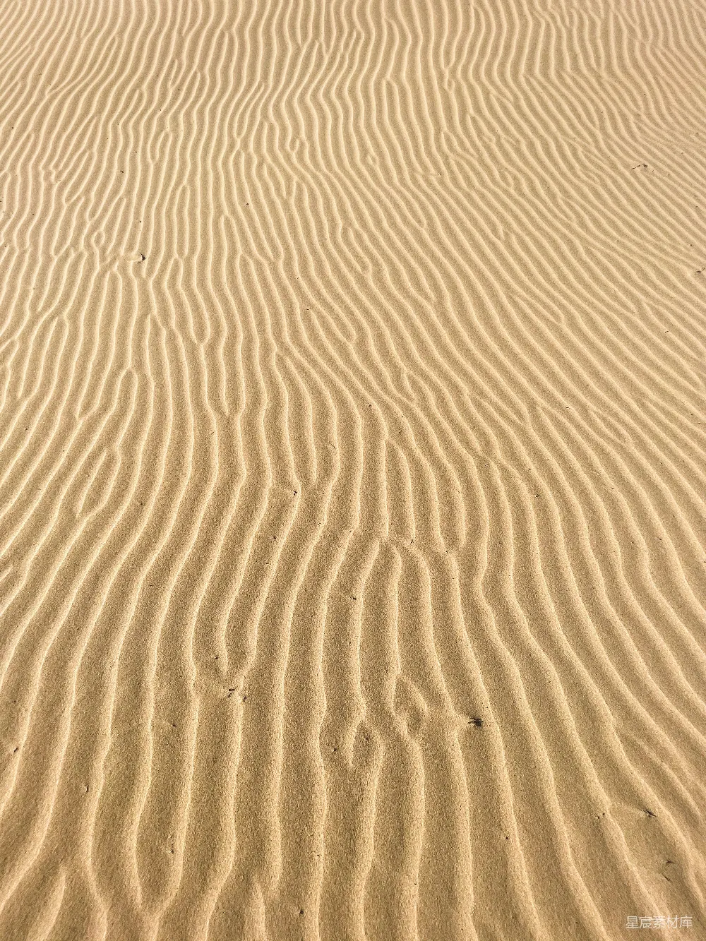 高清摄影 沙漠 纹理 自然 抽象 背景 沙漠中的波浪纹理